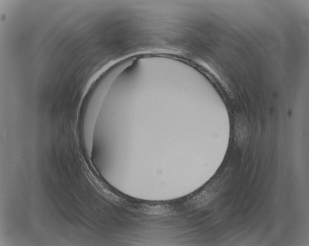 X0000083661460200703121759