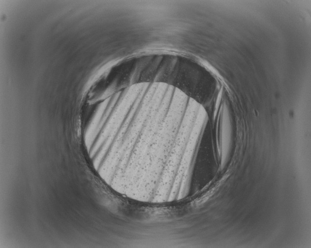 X0000083661461200703121759