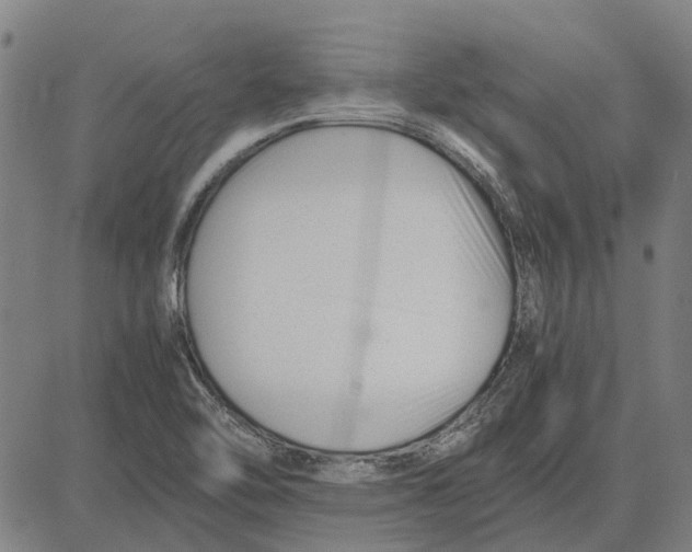 X0000083661462200703121759