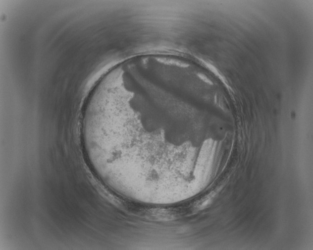 X0000083661463200703121758