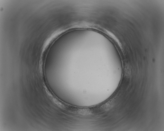 X0000083661464200703121758