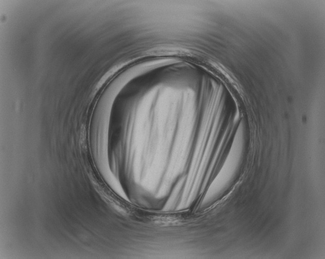 X0000083661465200703121758