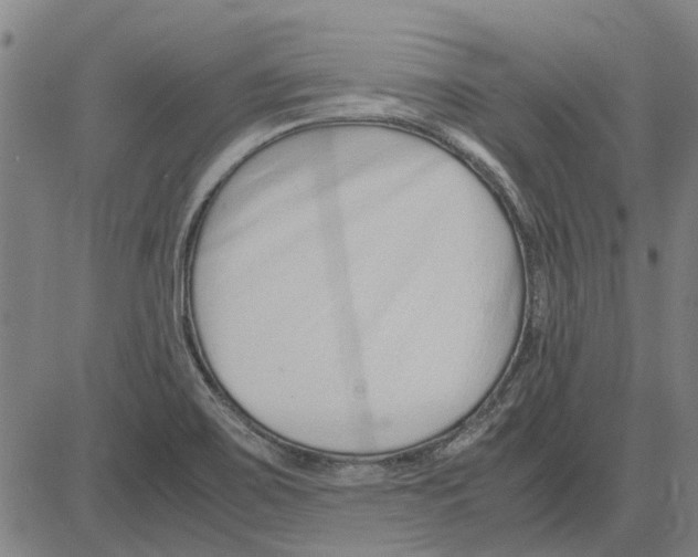 X0000083661467200703121758