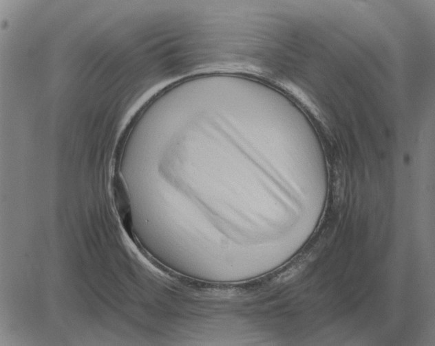 X0000083661468200703121758