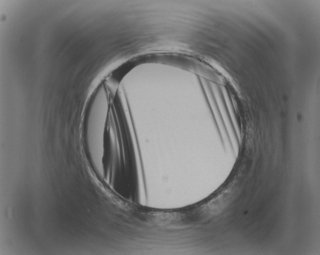 X0000083661469200703121758