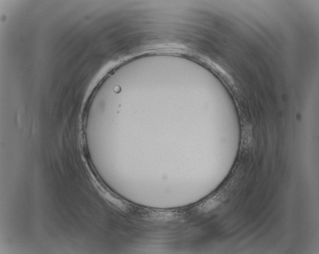 X0000083661470200703121758