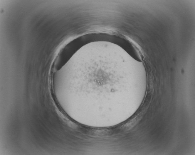 X0000083661471200703121758