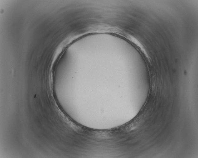 X0000083661472200703121758