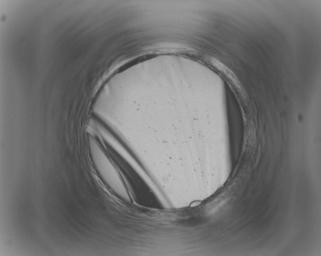 X0000083661473200703121758