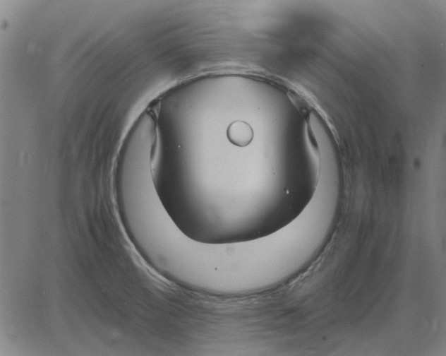 X0000083661474200703121758