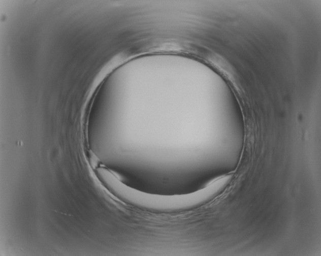 X0000083661475200703121758