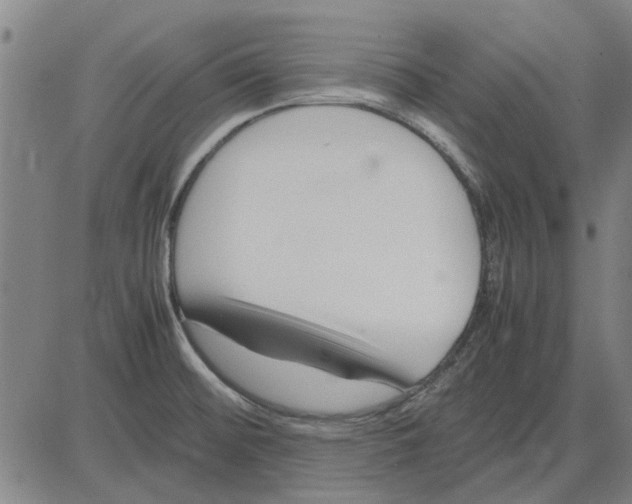 X0000083661476200703121758