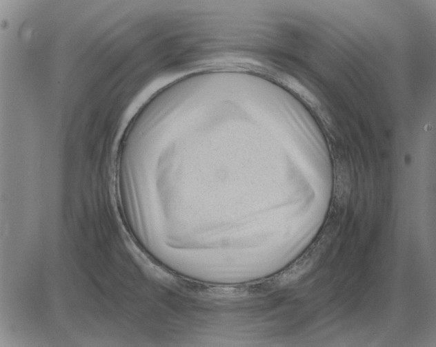 X0000083661478200703121758