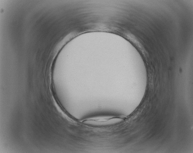 X0000083661479200703121758