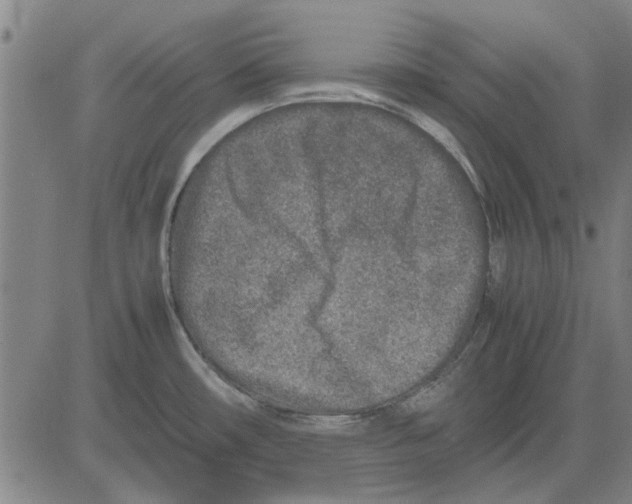 X0000083661482200703121758