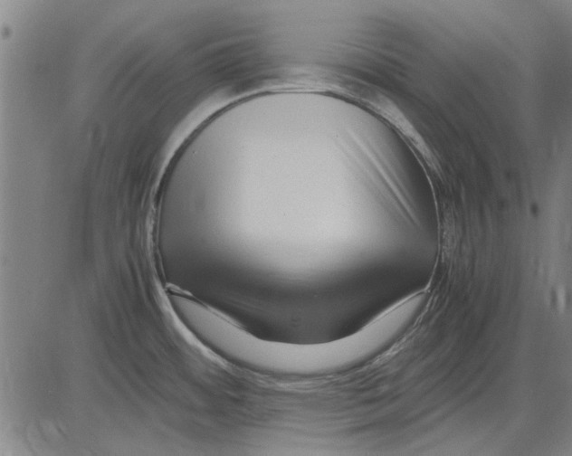 X0000083661484200703121758