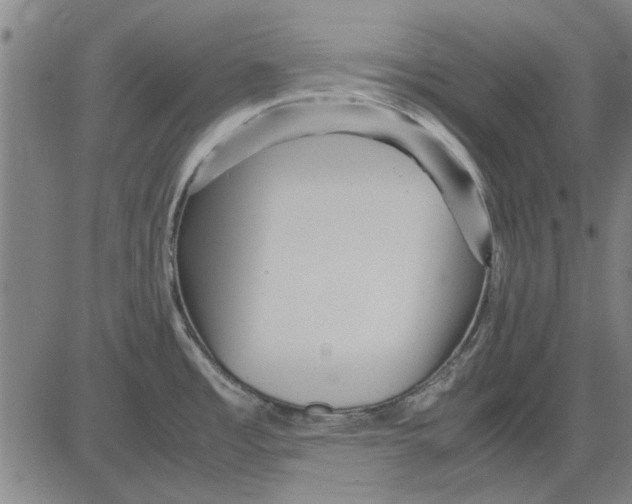 X0000083661485200703121758