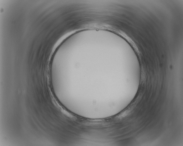 X0000083661486200703121758