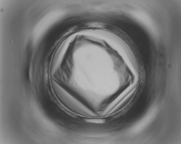 X0000083661487200703121758