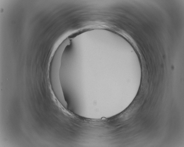 X0000083661488200703121758