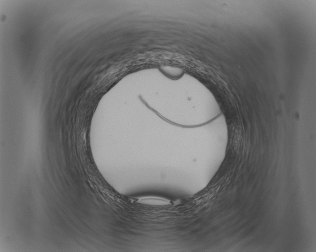 X0000083661489200703121757