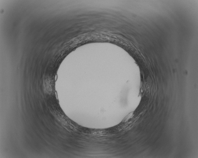 X0000083661490200703121757