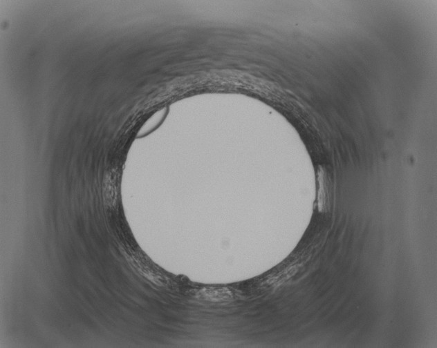 X0000083661491200703121757