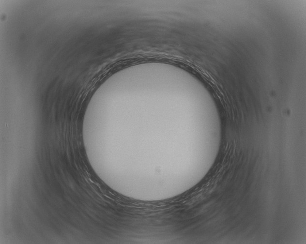 X0000083661492200703121757