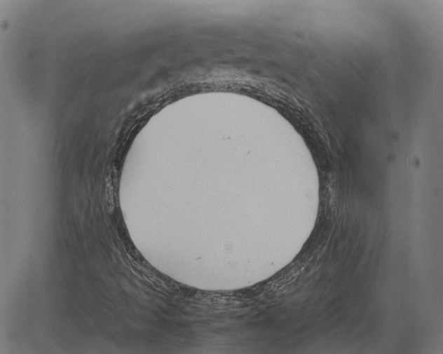 X0000083661493200703121757