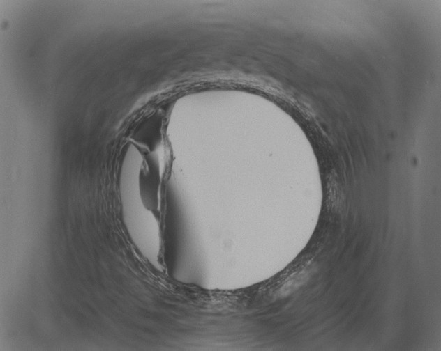 X0000083661494200703121757