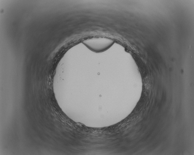 X0000083661495200703121757