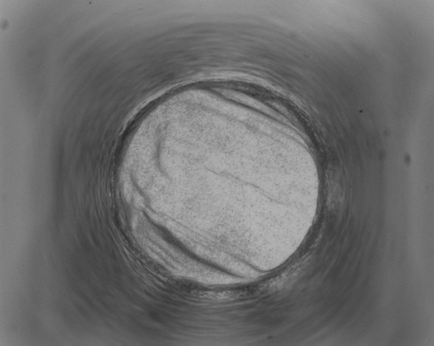 X0000083661497200703121757