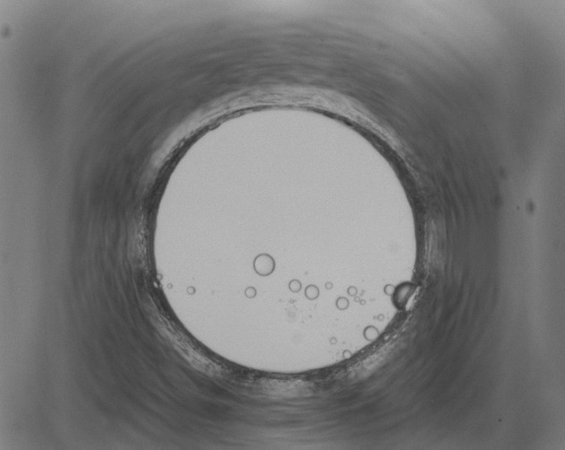 X0000083661498200703121757