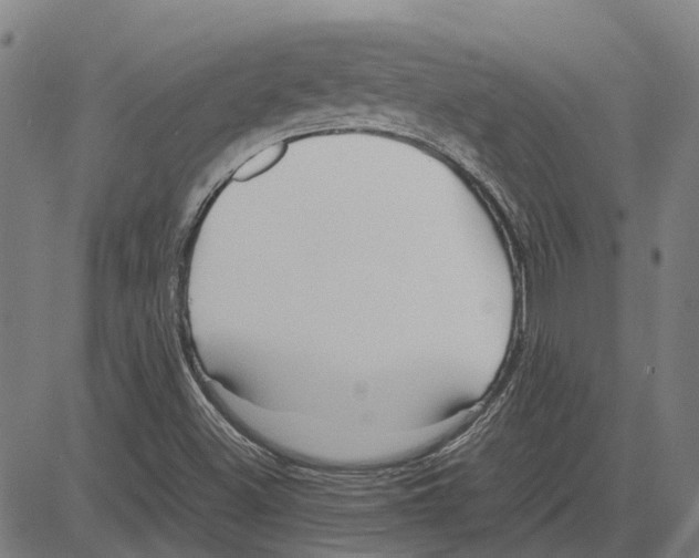 X0000083661500200703121757