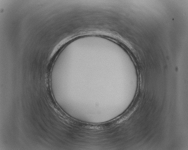 X0000083661501200703121757