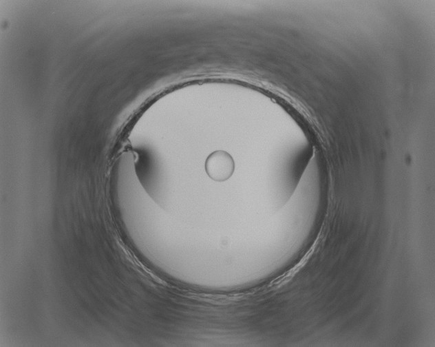 X0000083661502200703121758