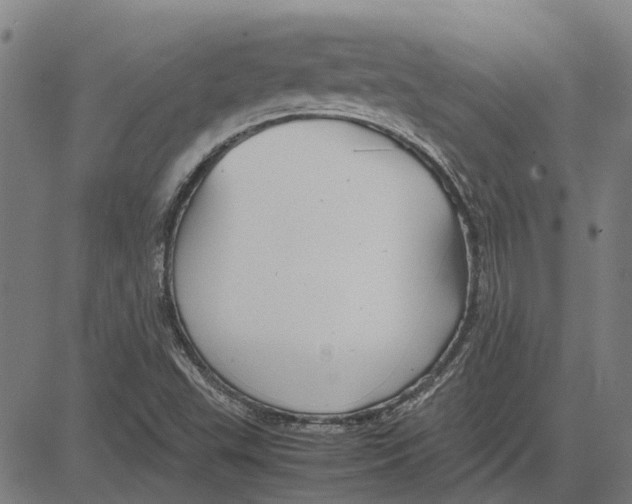 X0000083661503200703121758