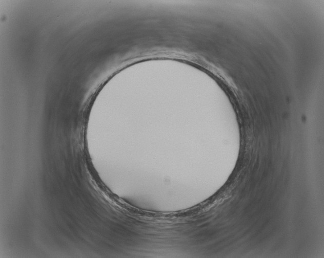 X0000083661504200703121758