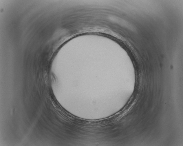 X0000083661505200703121758