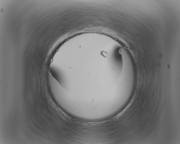 X0000083661506200703121758