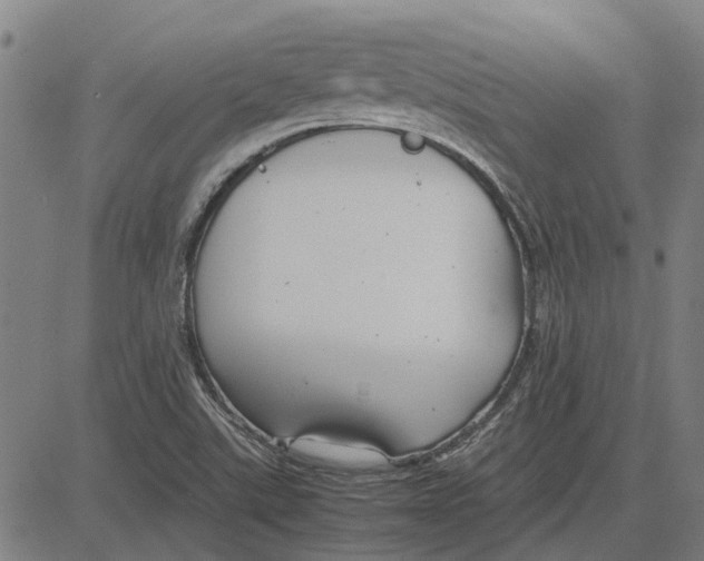 X0000083661507200703121758