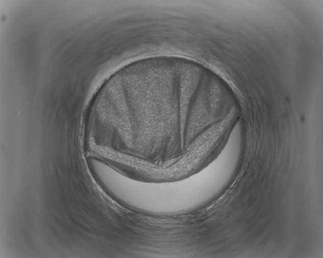 X0000083661508200703121758