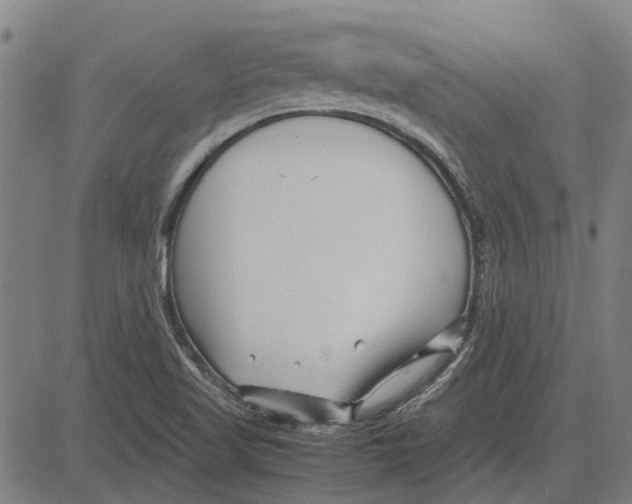 X0000083661509200703121758