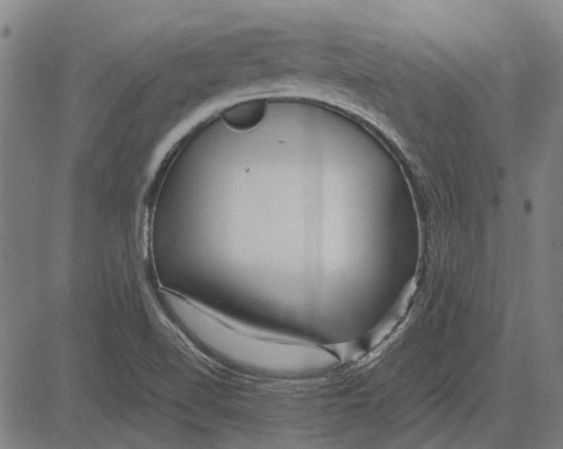 X0000083661510200703121758