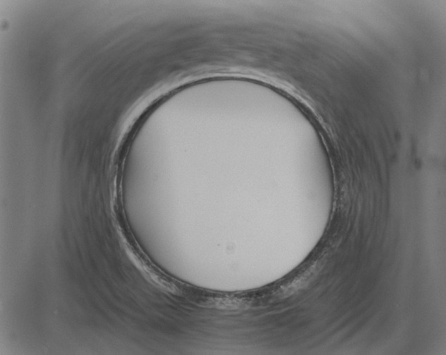 X0000083661511200703121758