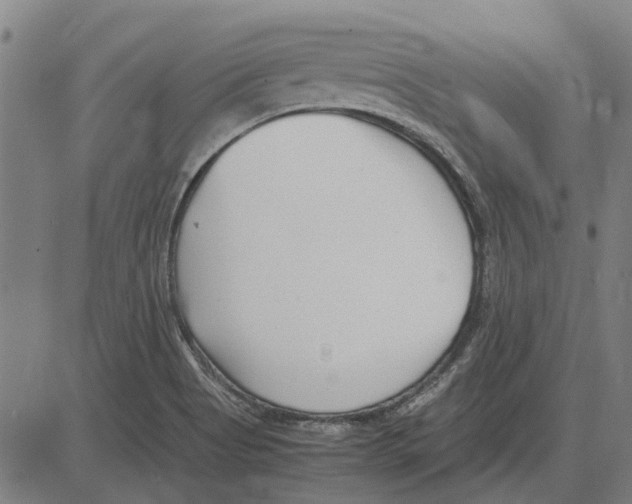 X0000083661513200703121758