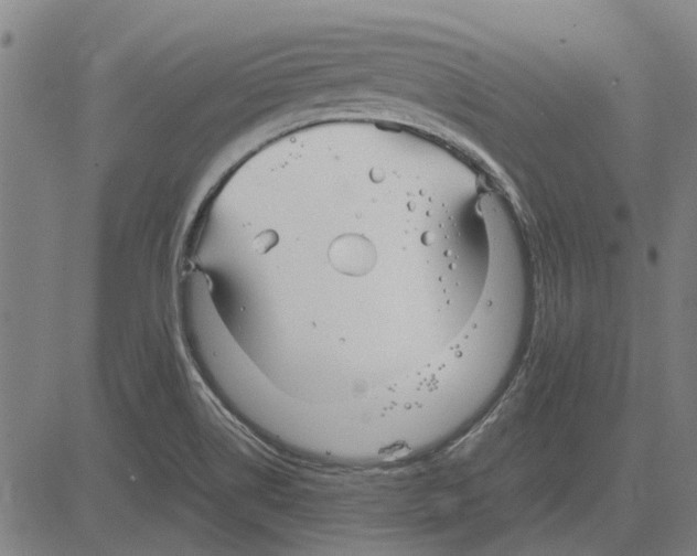 X0000083661514200703121758