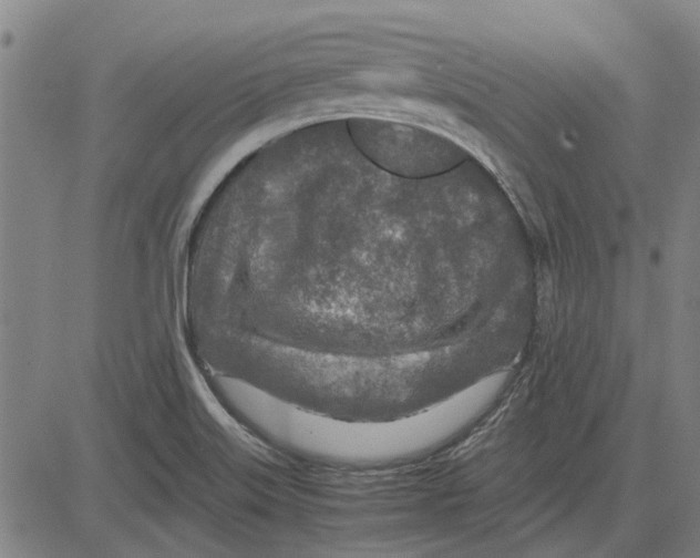 X0000083661515200703121758