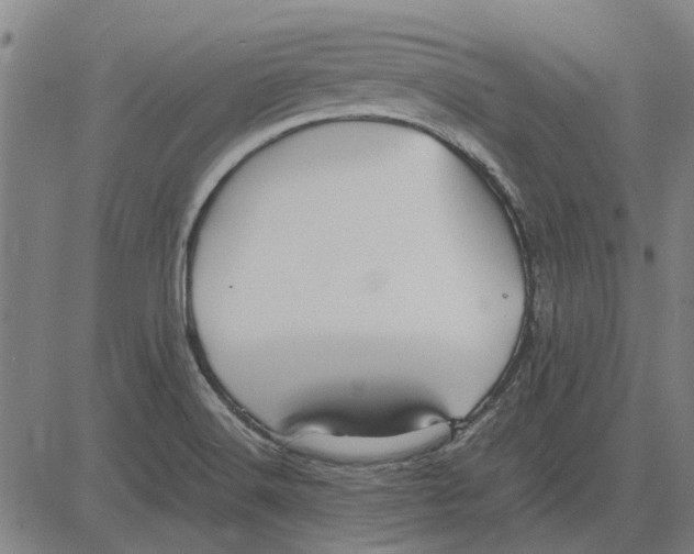 X0000083661516200703121758