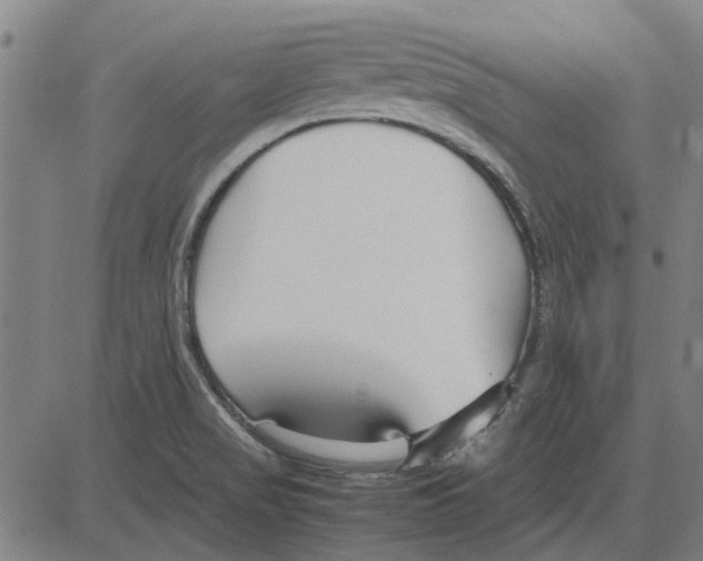 X0000083661517200703121758